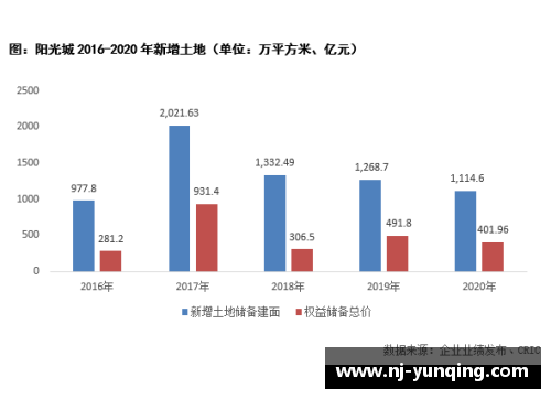 南宫NG28相信品牌力量有限公司足球球星身价的决定因素与市场趋势深度剖析 - 副本